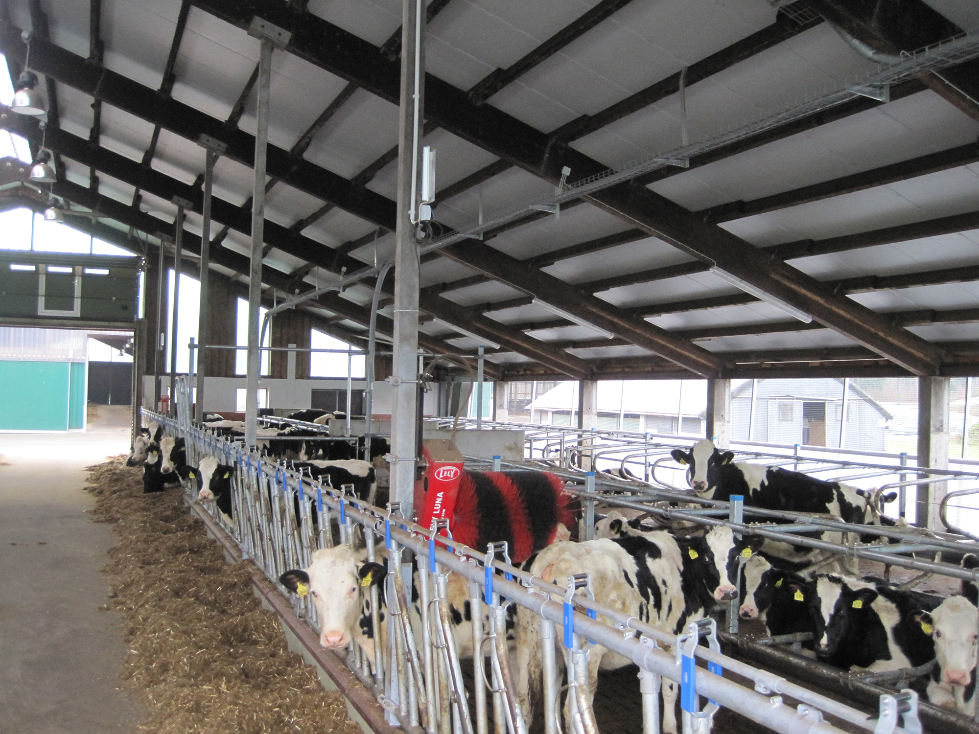 Jungviehstall auf Gut Hülsenberg