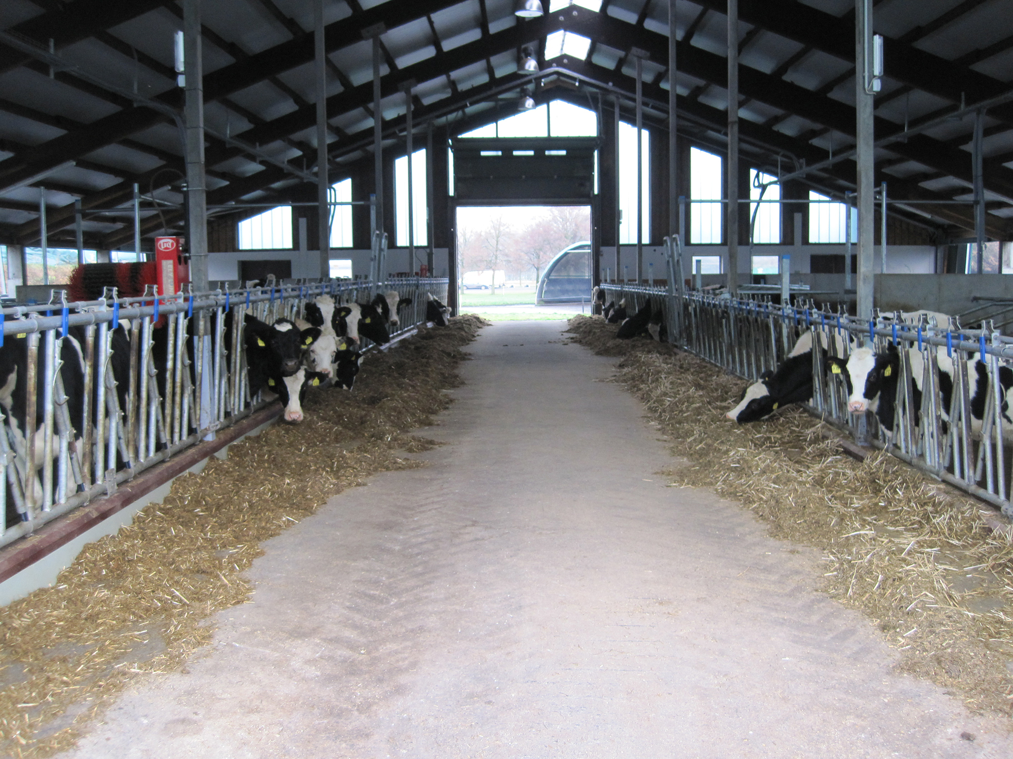 Jungviehstall auf Gut Hülsenberg