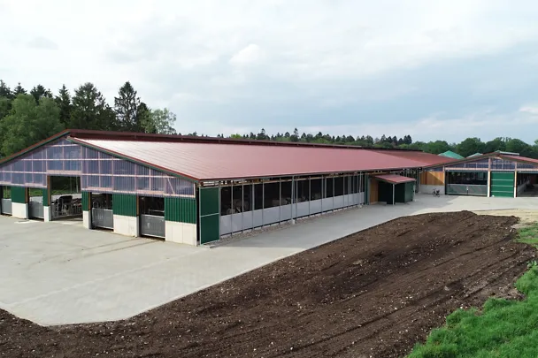 Kuhstall auf Gut Hülsenberg