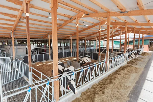 Kuhstall auf Gut Hülsenberg