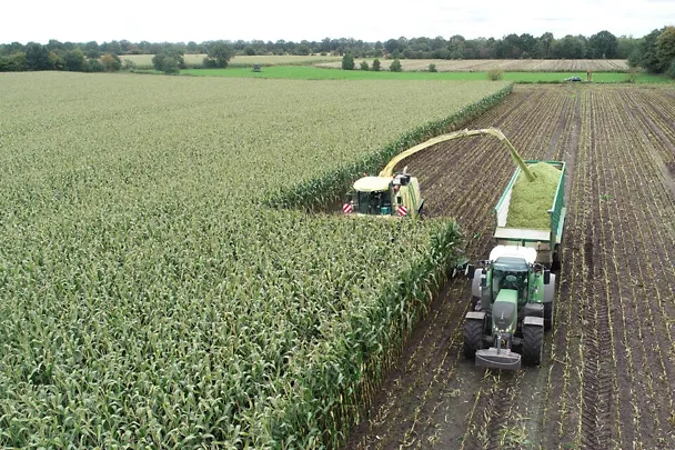 Maisernte auf Gut Hülsenberg